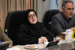 بازسازی شرکت‌های آسیب‌دیده با تمام توان دولت دنبال می‌شود