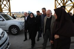 مهاجرانی: کشور در تأمین کالاهای اساسی با مشکلی مواجه نشد