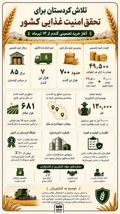 اینفوگرافیک| پیش بینی خرید ۷۰۰ هزار تن گندم در کردستان