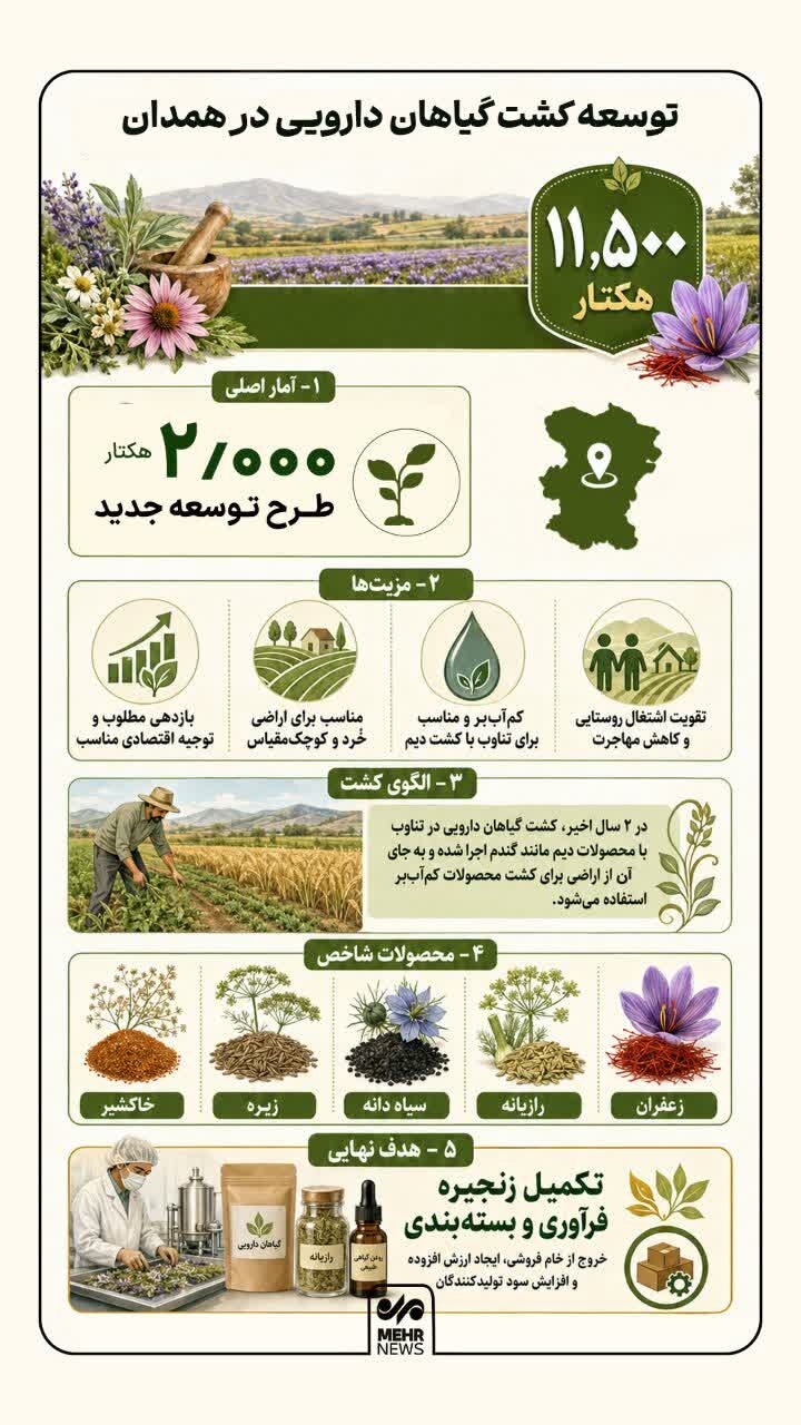 اینفوگرافیک؛ توسعه کشت گیاهان دارویی در ۲۰۰۰ هکتار از اراضی همدان