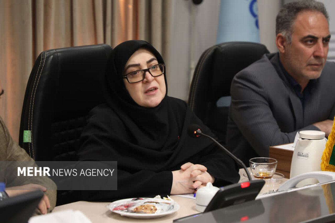 بازسازی شرکت‌های آسیب‌دیده با تمام توان دولت دنبال می‌شود