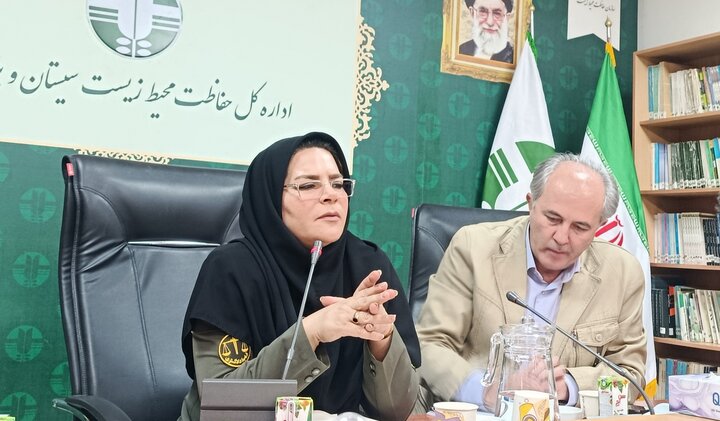 اختلاف ارتفاع افغانستان و سیستان عامل پنهان تشدید ریزگردها اختلاف ارتفاع افغانستان و سیستان عامل پنهان تشدید ریزگردها