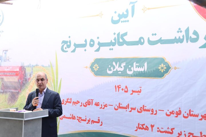 استاندار گیلان: بهره‌وری راه اقتصادی شدن تولید برنج است