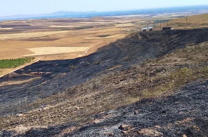 علت دقیق آتش سوزی میانکاله هنوز مشخص نشده است علت دقیق آتش سوزی میانکاله هنوز مشخص نشده است