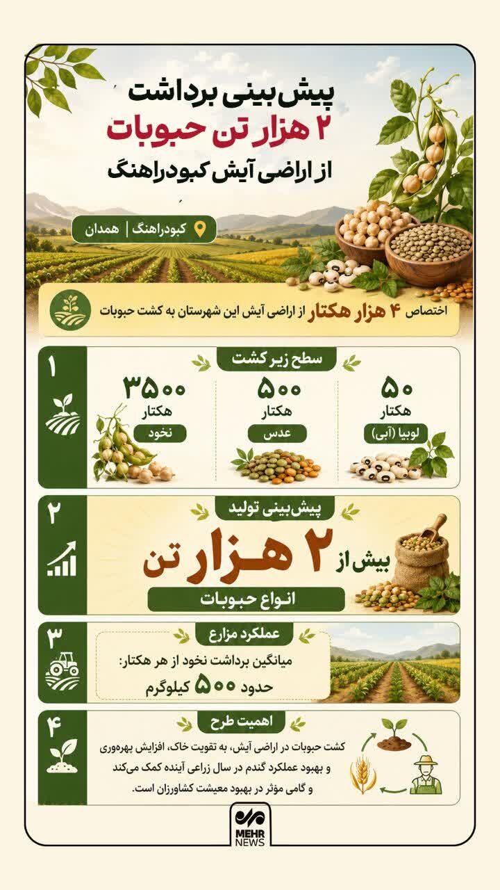 اینفوگرافیک؛ کشت حبوبات در ۴۰۰۰ هزار از اراضی کبودراهنگ