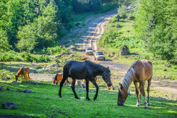 ڕێگای نێوان دوو سروشت