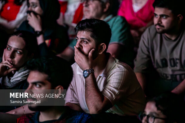 تماشای فینال جام جهانی فوتبال در باغ کتاب تهران