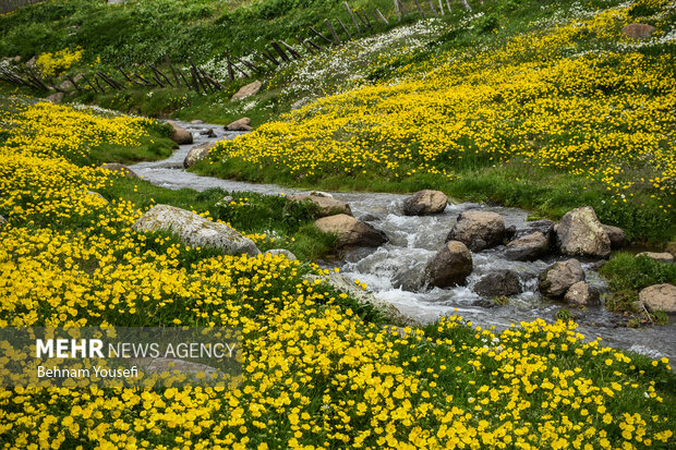 جاده‌ای میان دو اقلیم