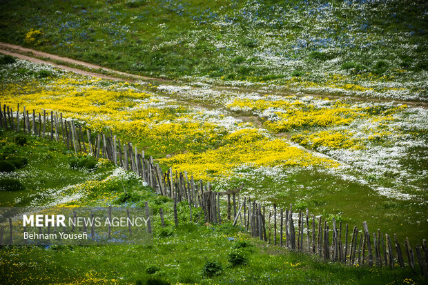 جاده‌ای میان دو اقلیم