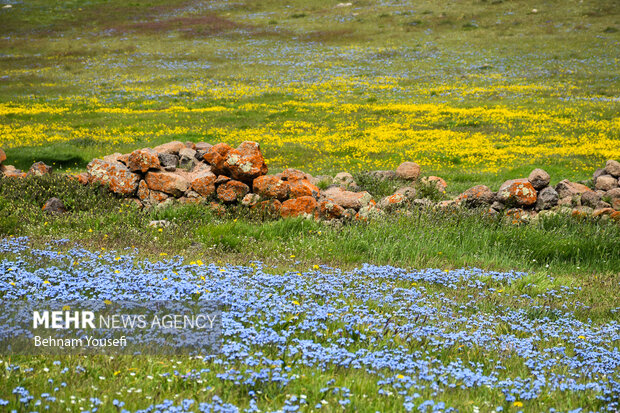 جاده‌ای میان دو اقلیم