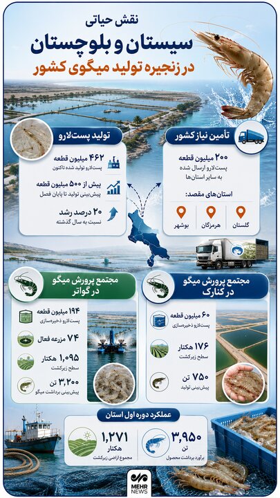 اینفوگرافیک؛ نقش سیستان و بلوچستان در زنجیره تولید میگوی کشور