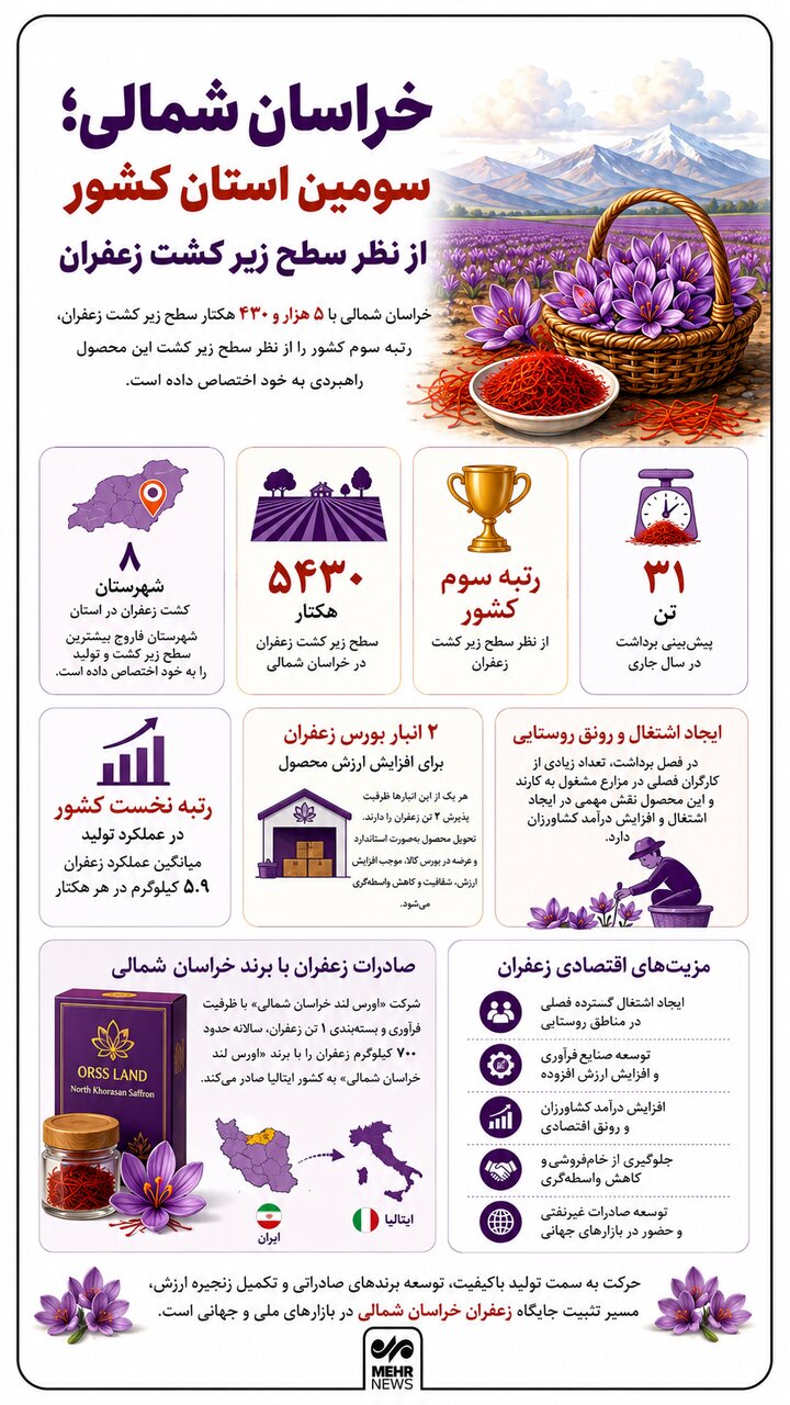 اینفوگرافیک؛ خراسان شمالی، سومین استان کشور از نظر سطح زیر کشت زعفران