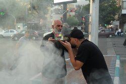 راهنمای زائران اربعین؛ فهرست کامل ۴۰ موکب استان سمنان منتشر شد