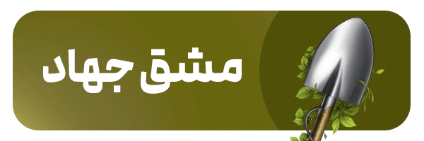 «مشق جهاد»؛ روایتی از امتداد یک راه