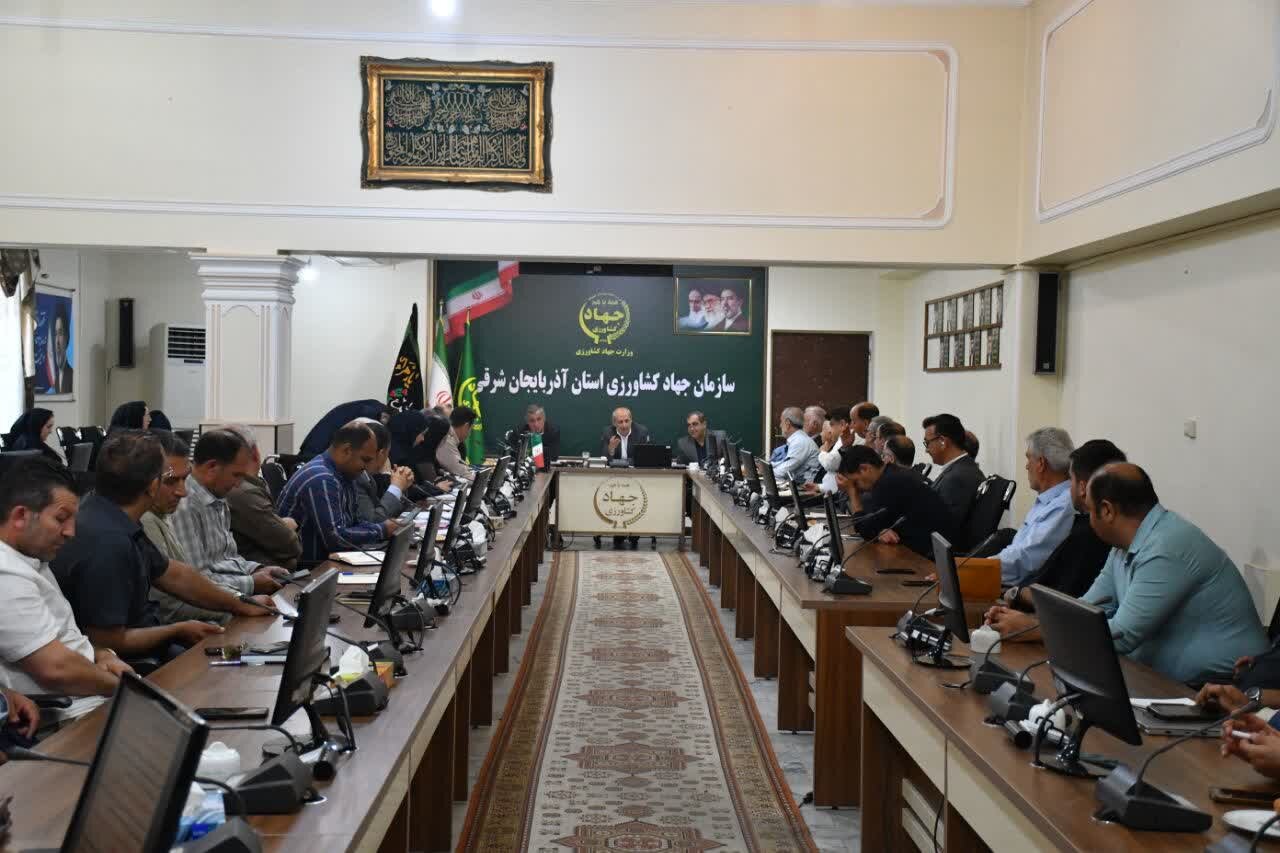 شفیعی: تشکیل اتحادیه گلخانه‌داران به توسعه تولید کمک می‌کند