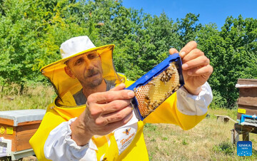 Turkey's oak honey eyes sweet success in global niches