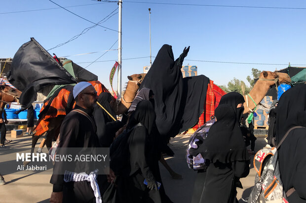 پیاده‌روی اربعین در طریق الحسین (ع)