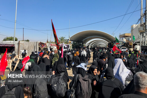 پیاده‌روی اربعین در طریق الحسین (ع)