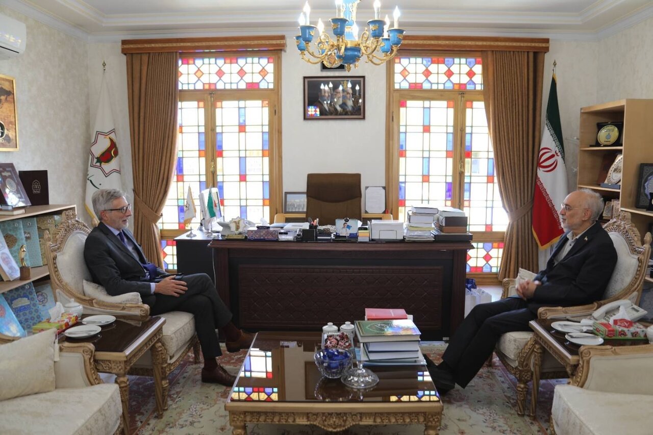 دیپلماسی فرهنگی روی میز تهران و پاریس/ صالحی میزبان سفیر فرانسه شد دیپلماسی فرهنگی روی میز تهران و پاریس/ صالحی میزبان سفیر فرانسه شد