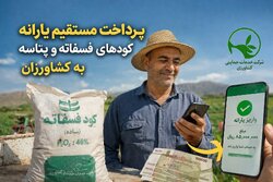پرداخت مستقیم یارانه کودهای فسفاته و پتاسه به کشاورزان آغاز شد