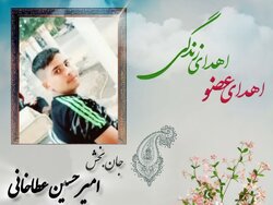 اهدای اعضای نوجوان ۱۷ ساله میامی، امیر حسین عطا خانی زندگی بخشید