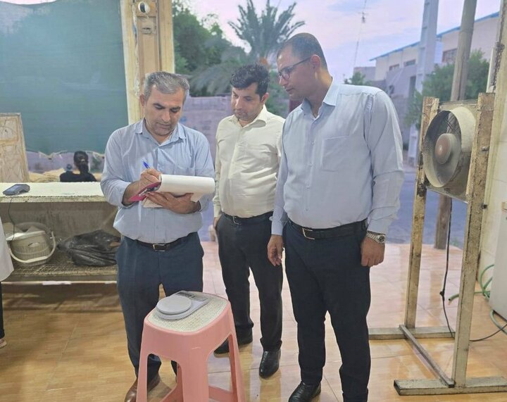 برخورد قاطع با نانواییهای متخلف در گناوه؛ نظارتها تشدید میشود