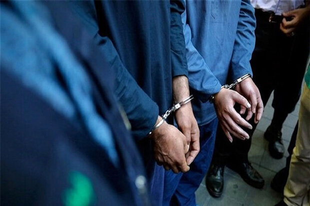 انهدام باند ۳ نفره سارقان به عنف و کشف ۵ تن آرد قاچاق در حاجی‌آباد