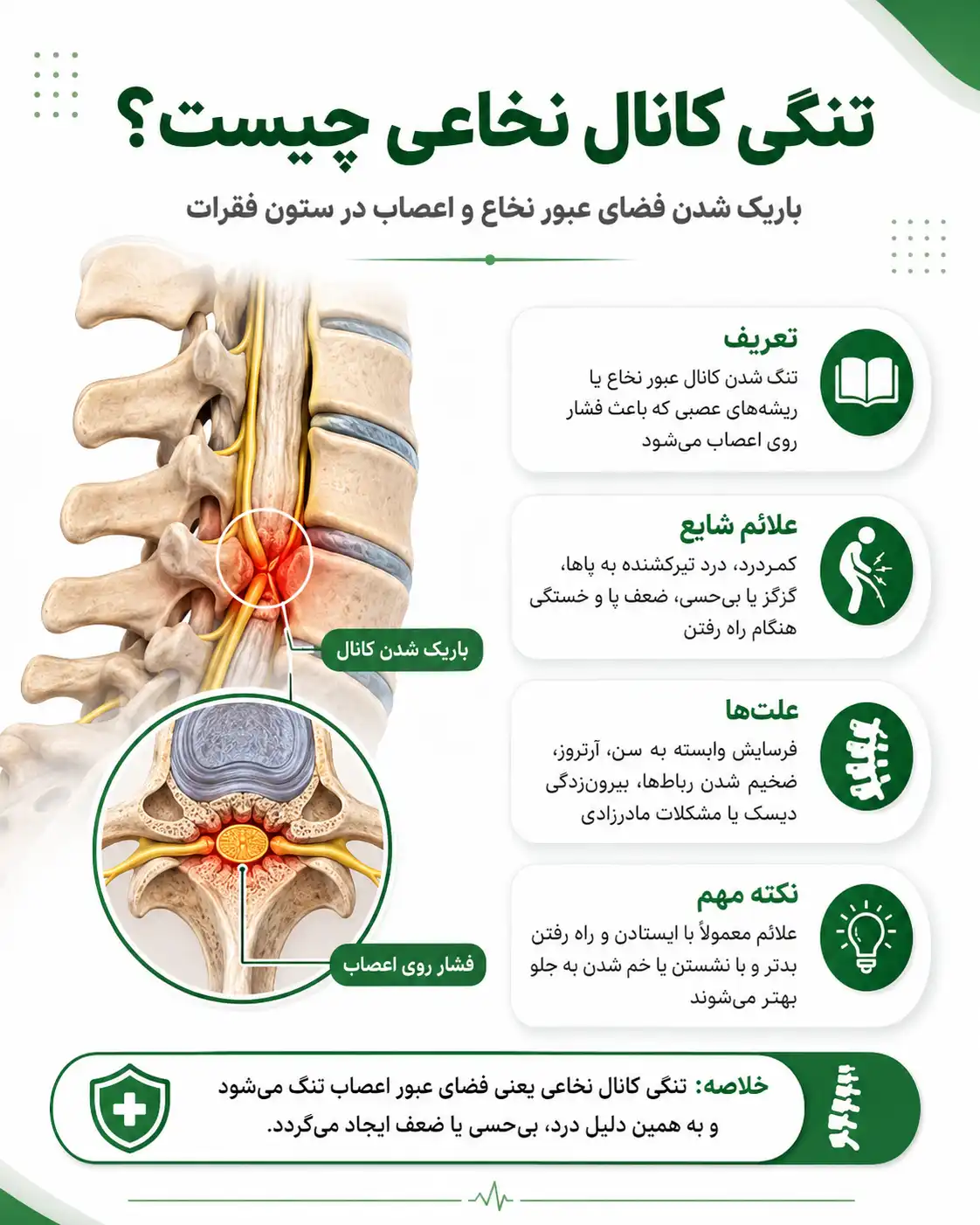 چرا مشکلات ستون فقرات در زنان بیشتر مورد توجه قرار گرفته است؟
