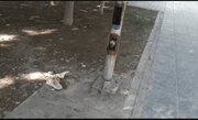 ورود دادستان اسلامشهر به پرونده مرگ دختر ۷ ساله در پارک