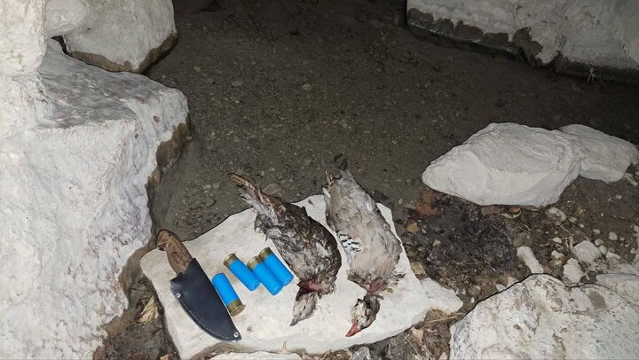 شکارچی متخلف پس از ۱۲ ساعت پایش محیط‌بانان در آرند چرام دستگیر شد