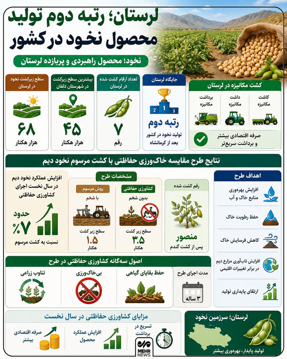 دانههای کوچک و رکورد بزرگ؛ مکانیزاسیون به مزارع نخود رسید