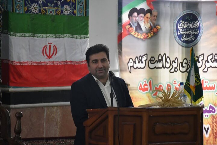 پیش‌بینی برداشت بیش از ۵۰ هزار تن گندم از مزارع مراغه