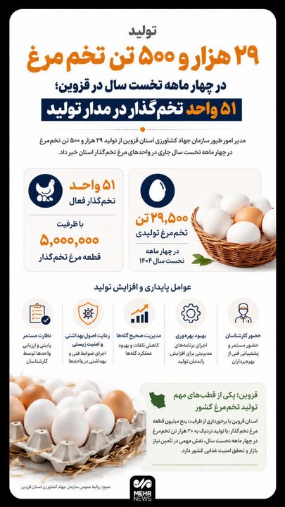 اینفوگرافیک ؛ تولید ۲۹ هزار و ۵۰۰ تن تخممرغ در قزوین