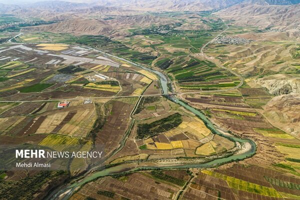قطب گلخانهای ایران در جنوب کرمان؛ ۵.۵ تن محصول روانه بازار می شود