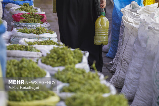 آبغوره‌گیری سنتی در شیراز
