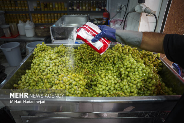 آبغوره‌گیری سنتی در شیراز