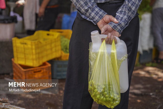 آبغوره‌گیری سنتی در شیراز