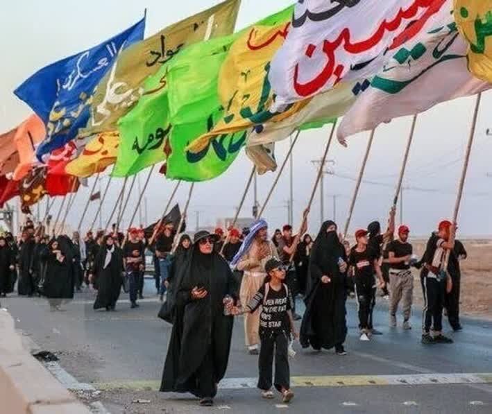 انصاری: تحقق «اربعین سبز» نیازمند مشارکت زائران و موکب‌داران است