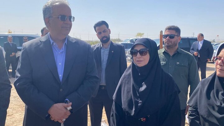 انصاری: بهرهمندی مردم از محیط زیست سالم اولویت اجرایی است انصاری: بهرهمندی مردم از محیط زیست سالم اولویت اجرایی است