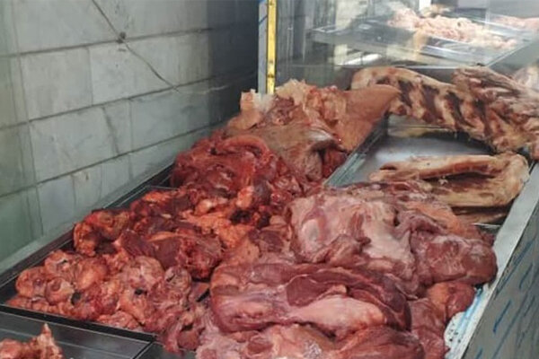 ۷۰۰ کیلوگرم گوشت قاچاق در قصرشیرین کشف شد