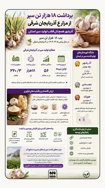 اینفوگرافیک؛ برداشت ۱۸ هزار تُن سیر از مزارع آذربایجانشرقی