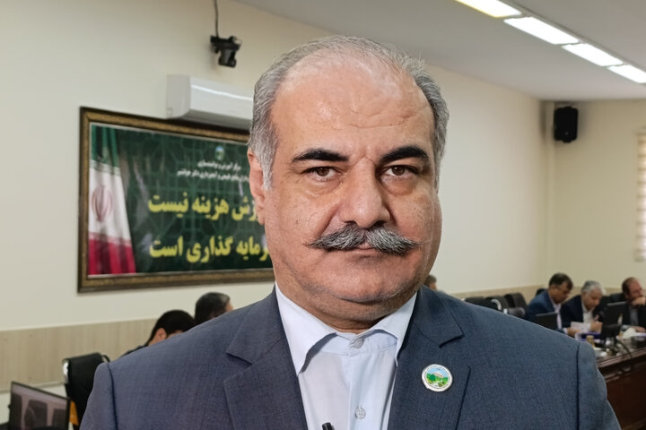 برداشت چوب از جنگلهای هیرکانی ممنوع ماند برداشت چوب از جنگلهای هیرکانی ممنوع ماند