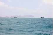 Ship traffic drops sharply at Bab el-Mandeb