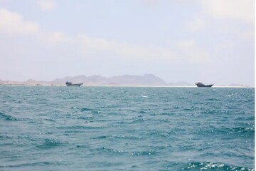 Ship traffic drops sharply at Bab el-Mandeb