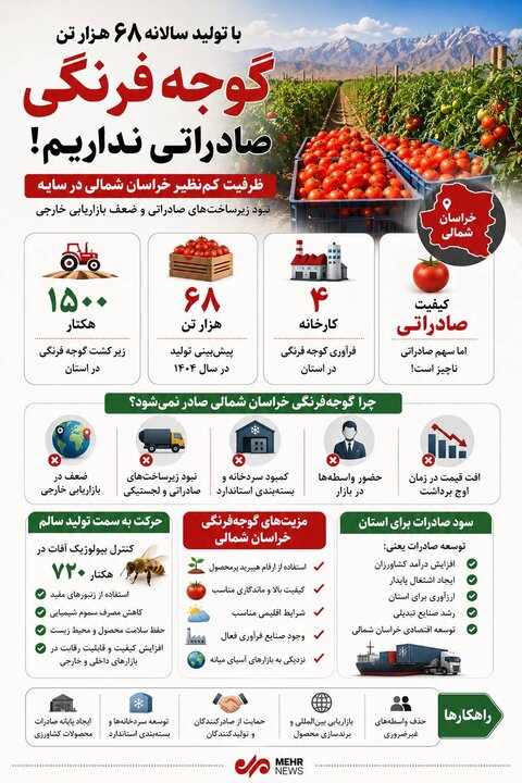 اینفوگرافیک؛ قطب بالقوه صادرات گوجه‌فرنگی با بازار خارجی ناچیز