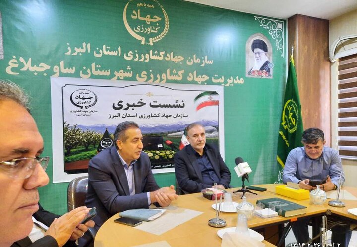 کوچکترین استان کشور، پیشتاز بهرهوری؛روایتی از شکوفایی کشاورزی البرز