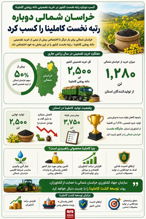 اینفوگرافیک؛ رتبه نخست خراسان شمالی در خرید تضمینی کاملینا