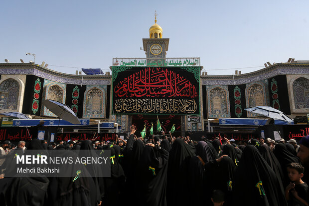 عزاداری دل‌دادگان حسینی در کربلا