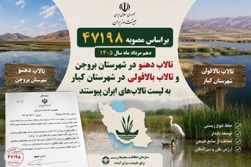 تصویب دو عرصه جدید تالابی استان چهارمحال‌وبختیاری در هیات وزیران