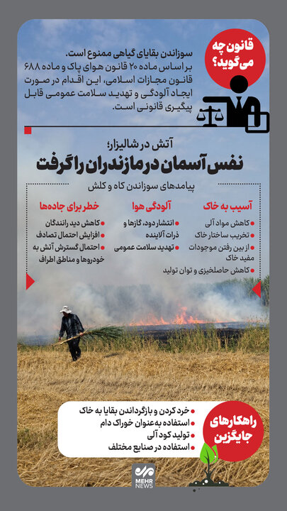 اینفوگرافیک؛ آتش در شالیزار